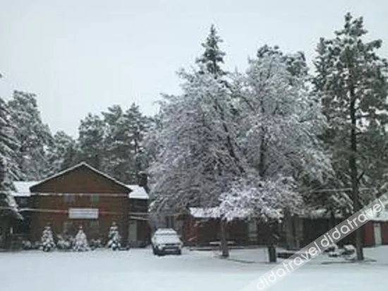 Lumbermens Village