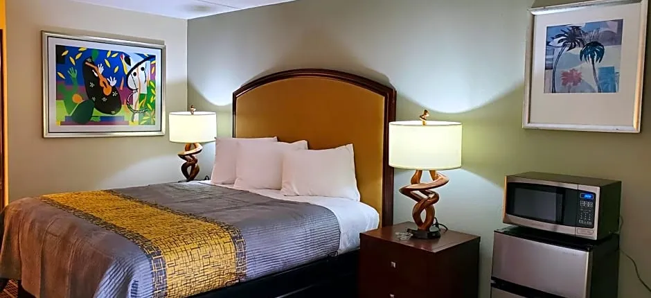 PALMETTO INN AND SUITES