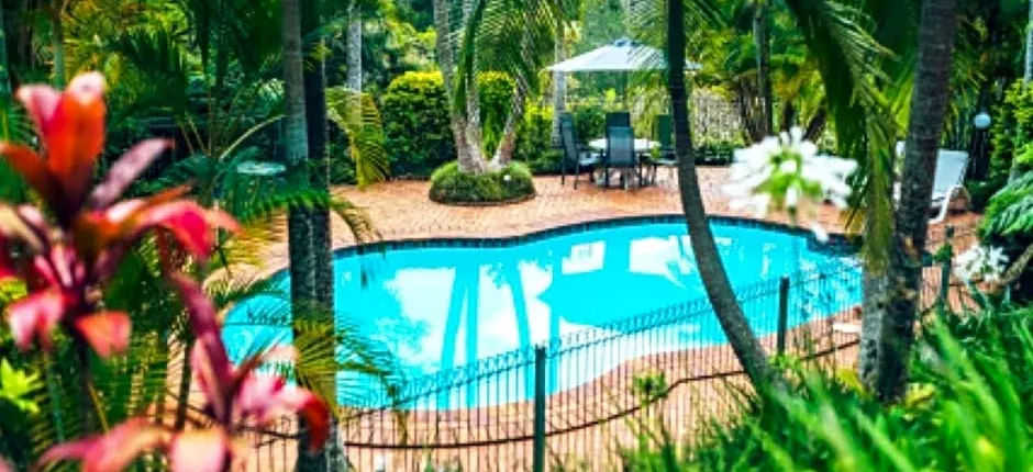 Bella Vista Bellingen