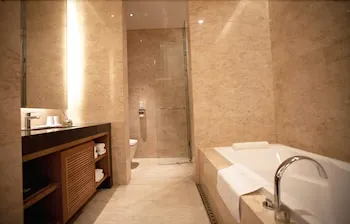 Hotel Maestro