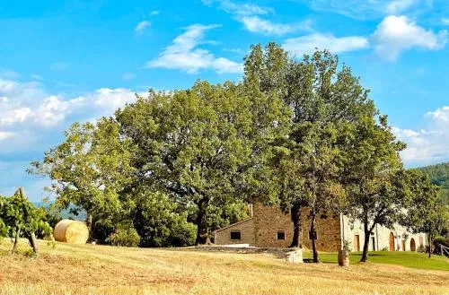 Palazzolo Resort - Anghiari