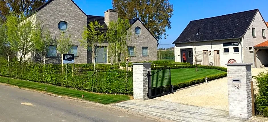 B&B 22