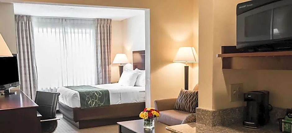 Comfort Suites University Area