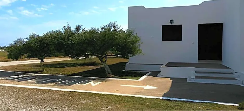 Dolphin Apartments