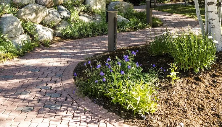 Torian Plum Creekside 618