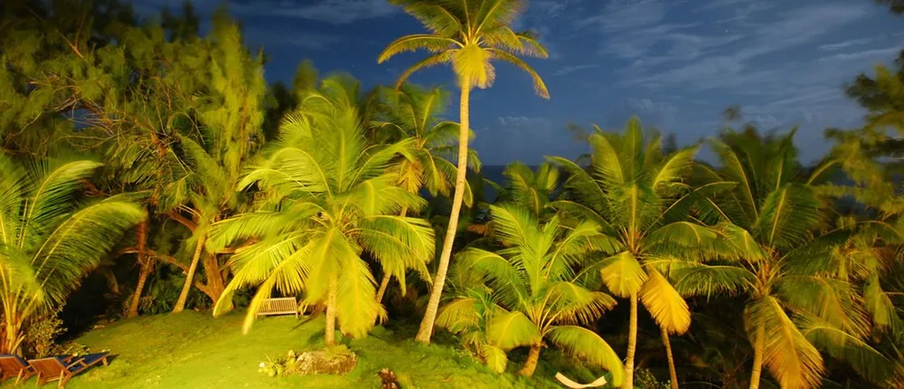 ECO Lifestyle & Lodge