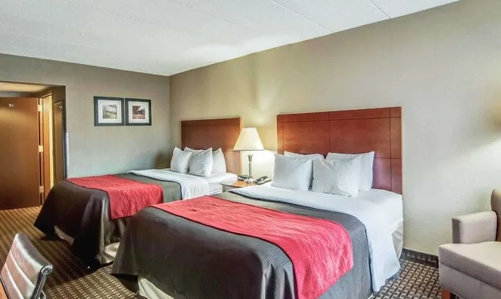 Comfort Inn & Suites Raphine Lexington near I-81&I-64