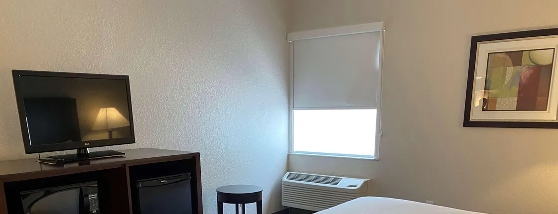 Best Western Tampa
