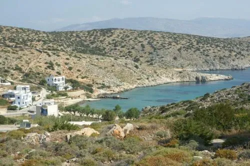 Agnantema