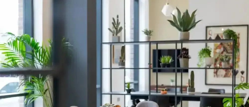 Student Only Zinc Quarter