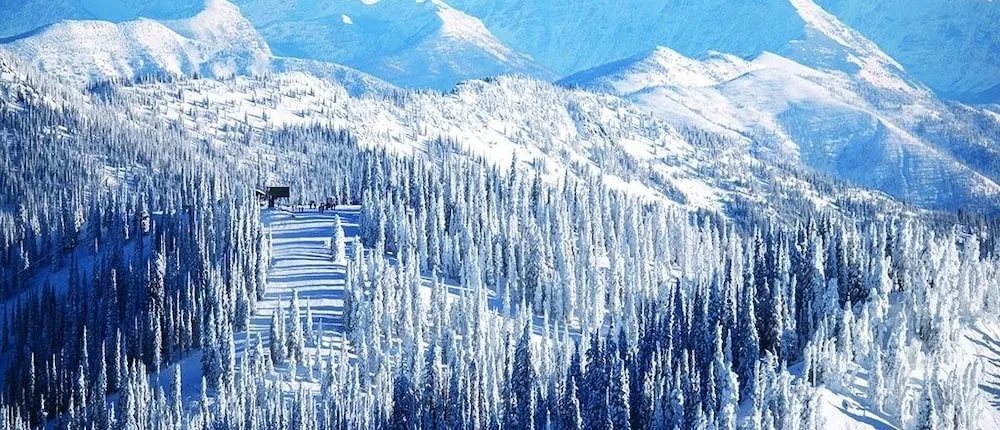 Hibernation House 220 1 Bedroom Hotel Room