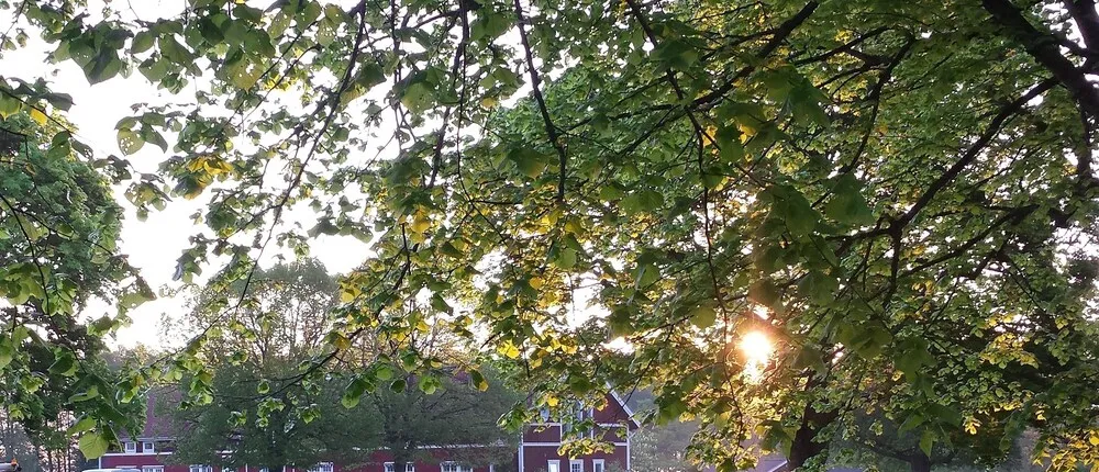Röda Stallet BB