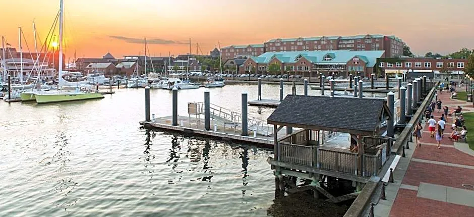 Newport Marriott Hotel & Spa