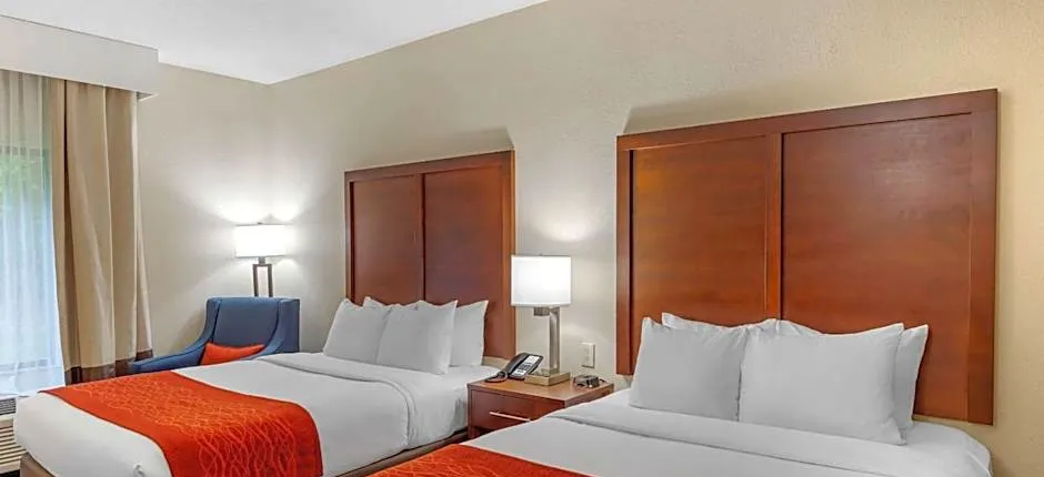 Comfort Inn & Suites Canton Riverstone Area