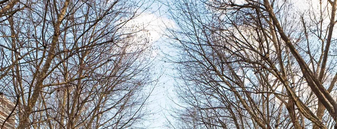 ibis Paris Canal Saint-Martin