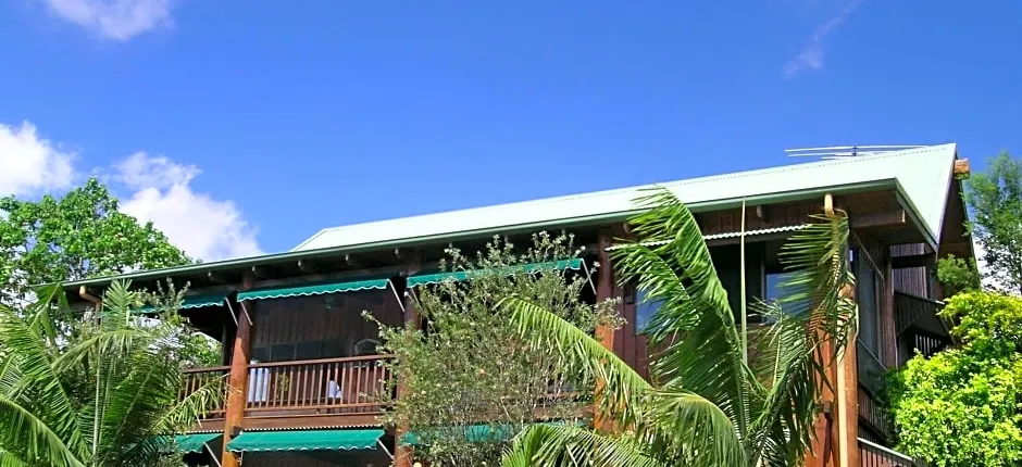 Atherton Blue Gum