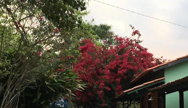 Rancho Ecologico Oasis de Luz