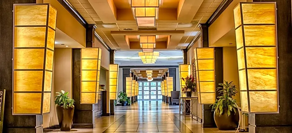 Hotel Capstone