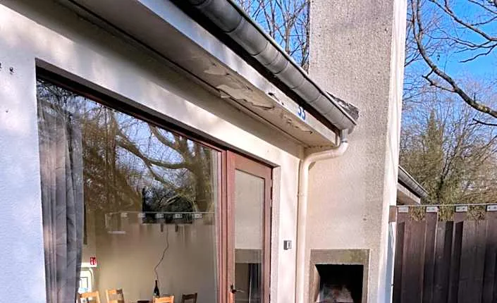 Mooie bungalow in de prachtige natuur