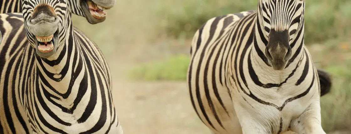 SANBONA WILDLIFE RESERVE