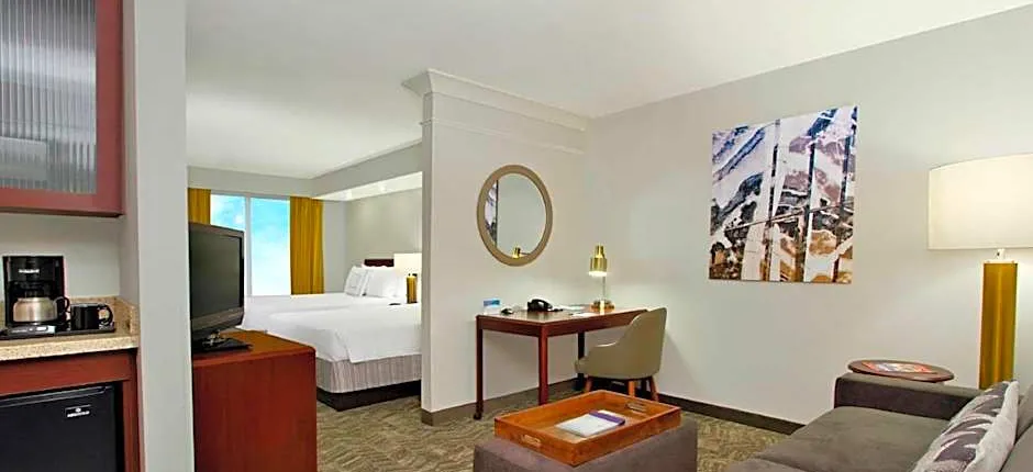 SpringHill Suites by Marriott Chesapeake Greenbrier