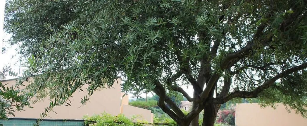 Appartamenti Santa Margherita