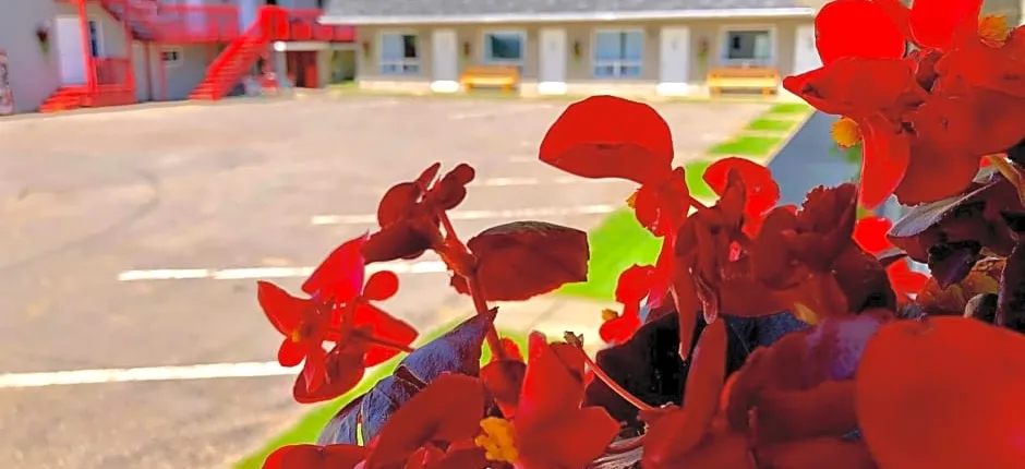 Motel Chantmartin