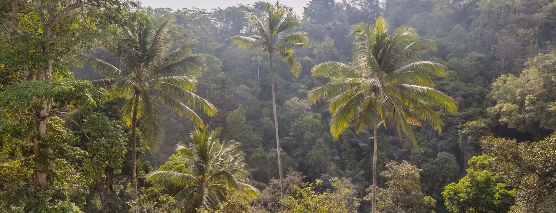 Ayung Resort Ubud