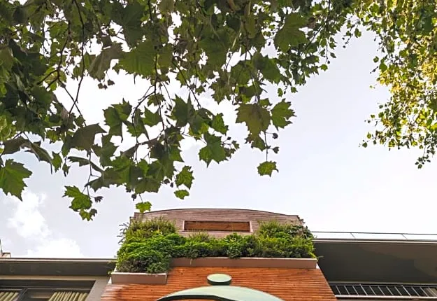 Green Hotel