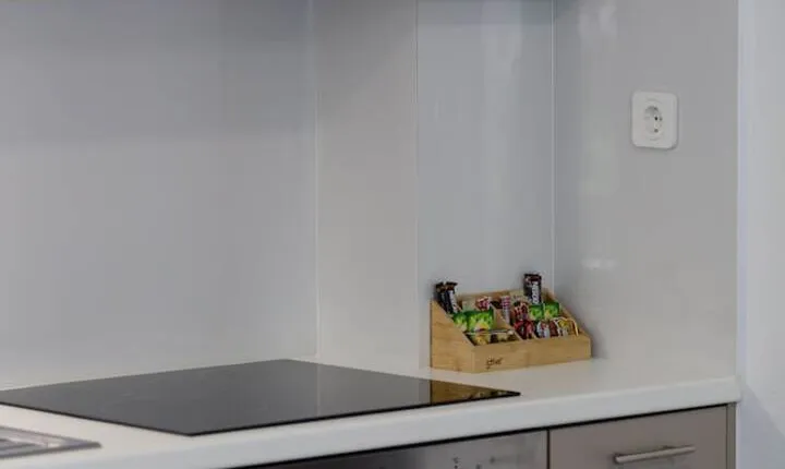 Coconut Palm Paradise