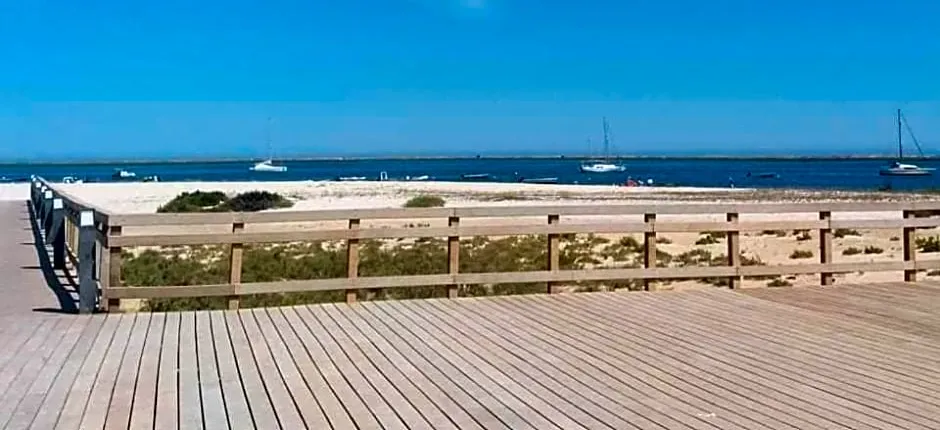 Primo dos caracois