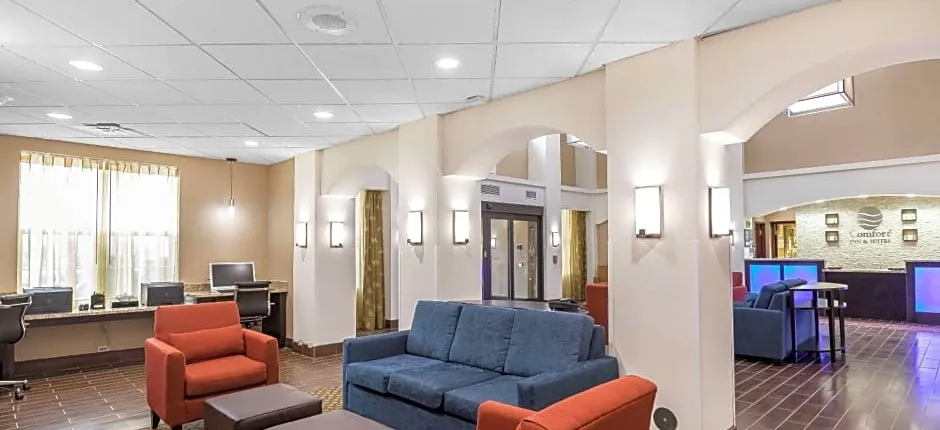 Comfort Inn & Suites Allen Park - Dearborn