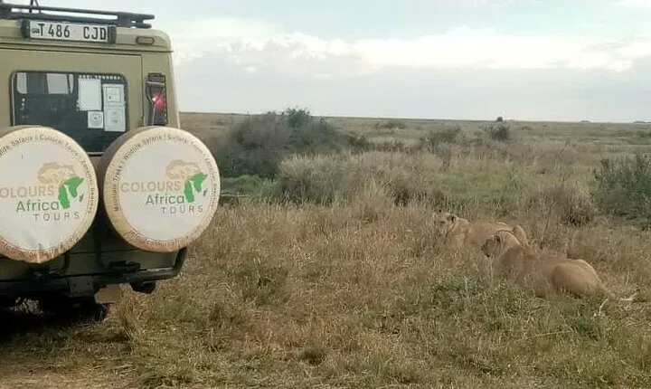 5-Day Tanzania Safari and Scenic Tour - Private Budget Safari