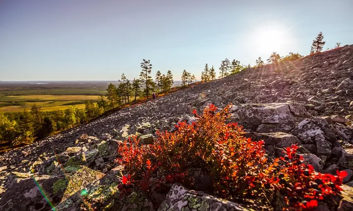 Guided easy hike in Finland deepest gorge in Pyhä-Luosto National Park