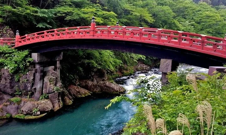 1- Day Private Tour to Nikko Tochigi With English Speaking Driver