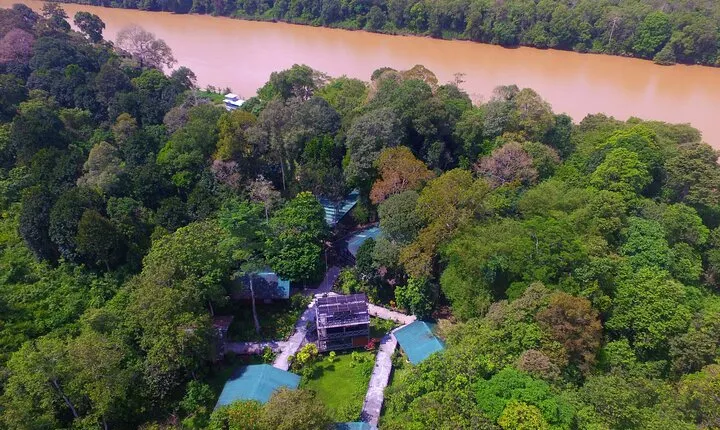 3D2N Sukau Wildlife Experience