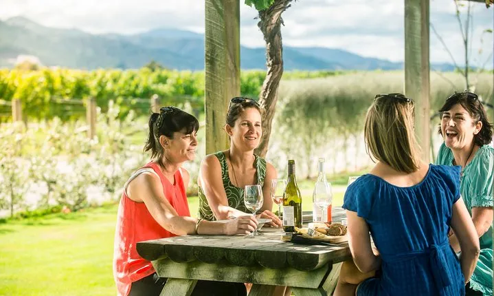 Full Day Winemakers Tour in Marlborough