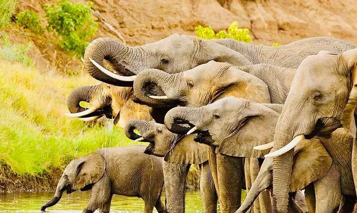 3 days Safari; Tarangire N.P, Ngorongoro Crater and Lake Manyara National Park