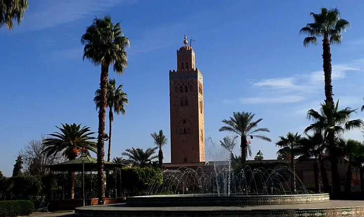 Discover Marrakesh: Half Day Guided Walking Tour 