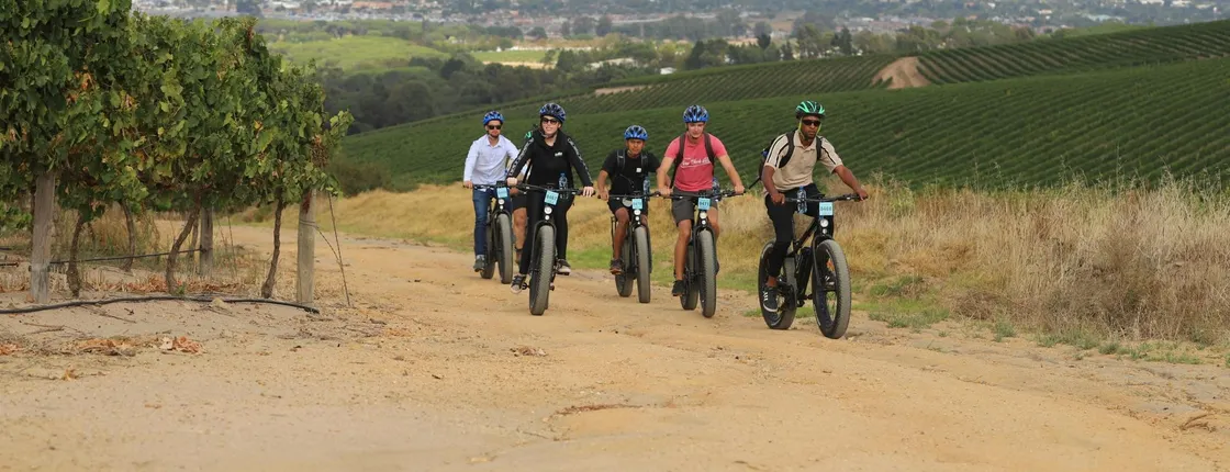 E-Bike Cape Winelands Half Day Tour from Cape Town