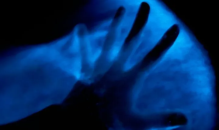 Bioluminescent Kayak Tour in Floridas Indian River Lagoon