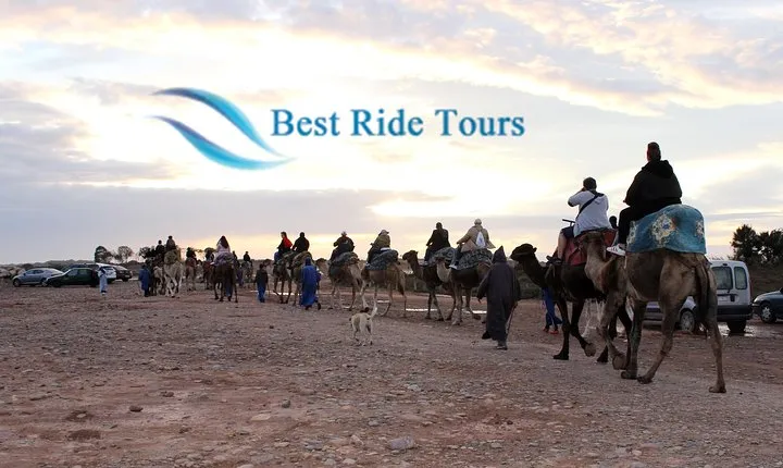 Agadir Camel Riding