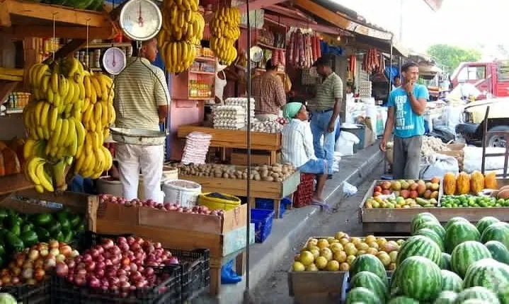 Half-Day Cultural Safari Tour from Cap Cana