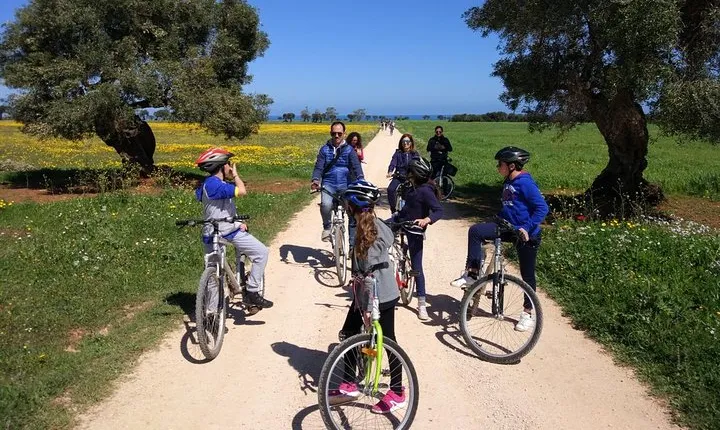 Private Bike Tour with Olive Oil Tasting