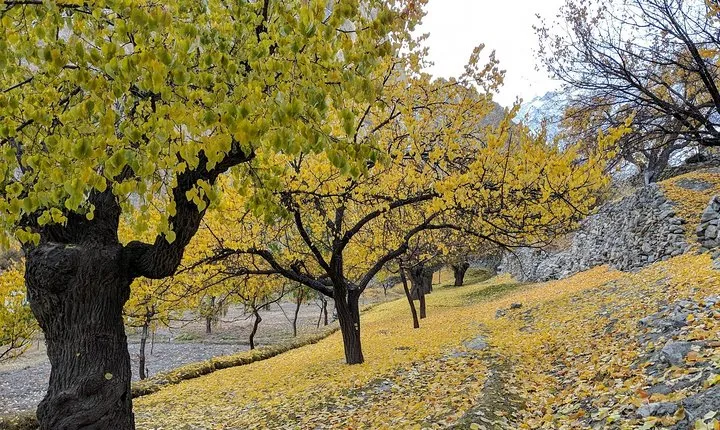 Hunza Autumn Tour
