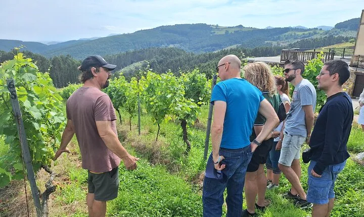 Gastronomy tour with tastings - small groups