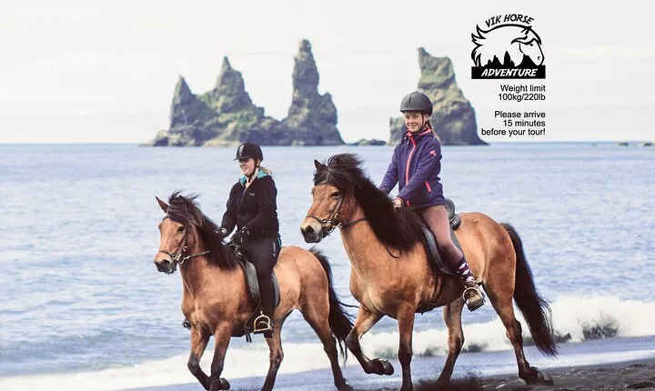 Black Sand Beach Horse Riding Tour from Vik