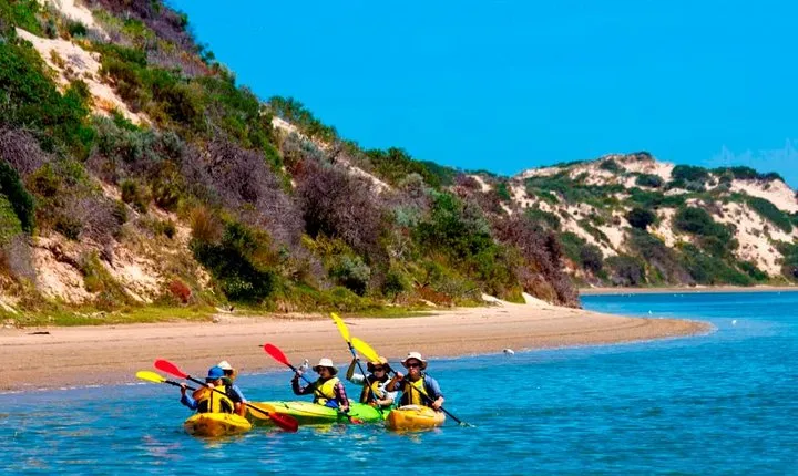 Full Day Kayaking Tour in Coorong National Park
