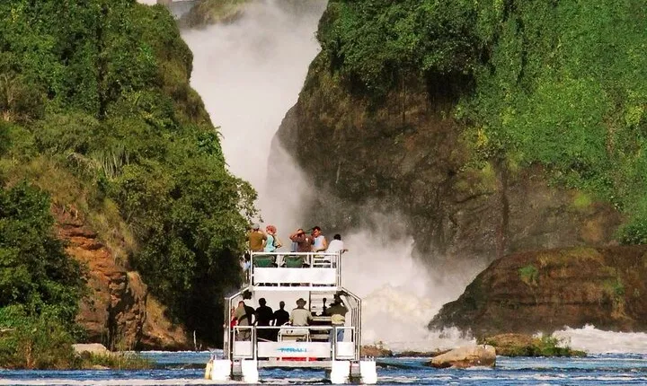 6 days Savannah wildlife &Primates safari trip.