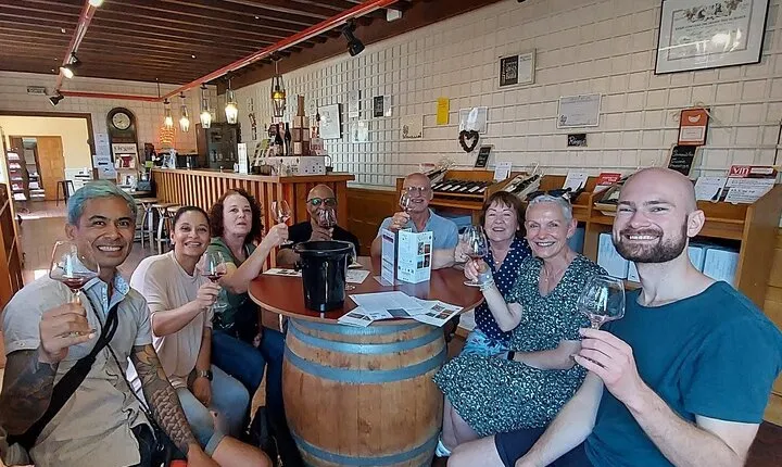 Beaujolais 100% wine tour Small-Group Tour with Tasting from Lyon